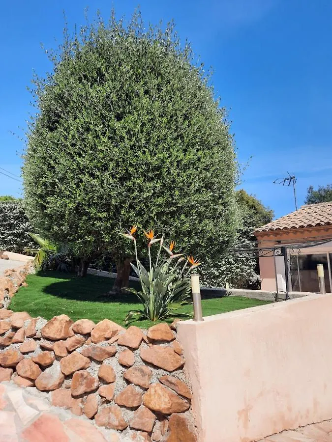 Villa Madysan St Aygulf, Piscine Privee Chauffee, Jardin, 900M De La Mer Saint Aygulf