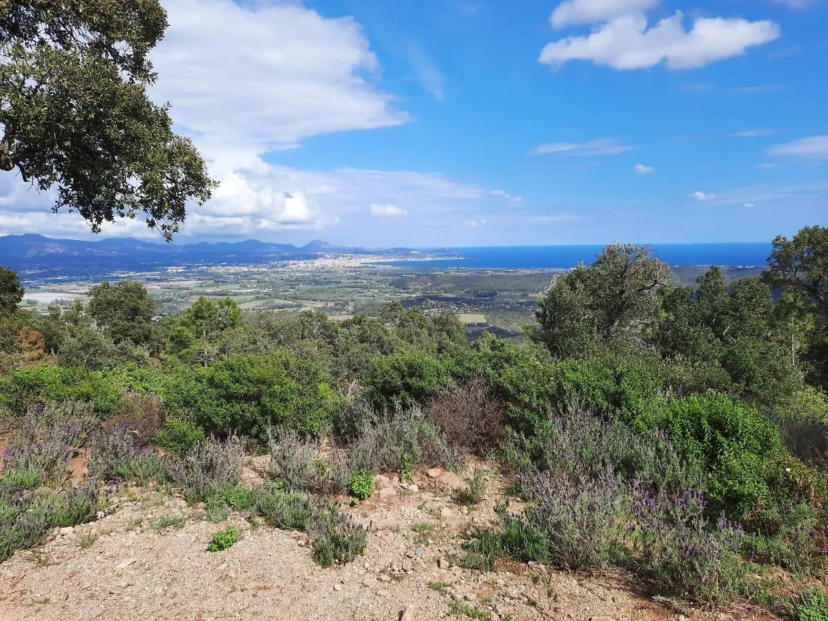 Villa Madysan St Aygulf, Piscine Privee Chauffee, Jardin, 900M De La Mer 圣艾格夫 法国
