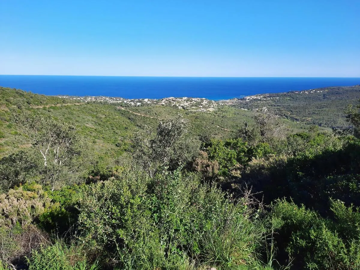 Villa Madysan St Aygulf, Piscine Privee Chauffee, Jardin, 900M De La Mer 圣艾格夫 0*,  法国